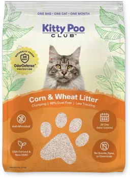 Kitty poo club cost sale