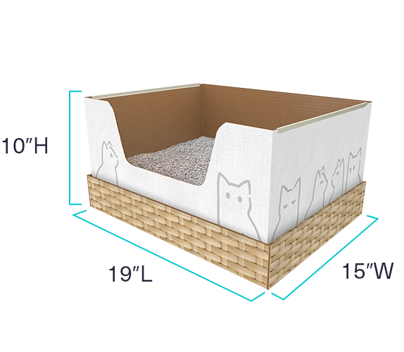 Diy disposable cat litter box sale